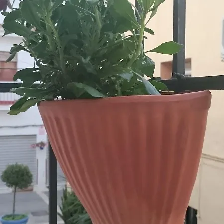 Pekehi Appartement *