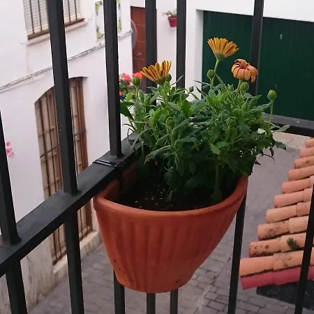 Pekehi Estepona